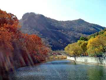 天天彩好彩天天免费，康师傅展示柜